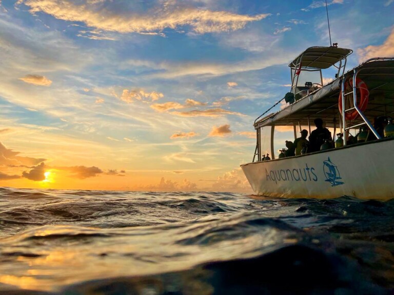 CalypsoSunset 768x575