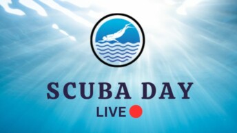 scuba day live 2023 feature image